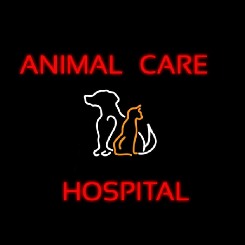 Animal Care Hospital Logo Neontábla