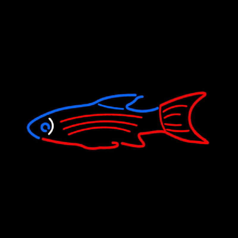 Blue Red Fish Neontábla