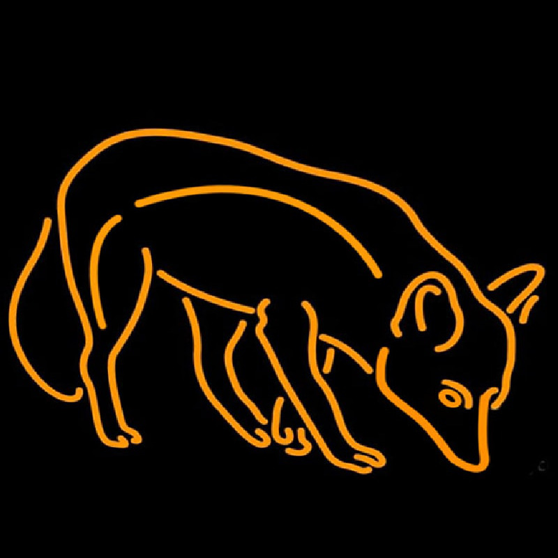 Orange Fo  Neontábla