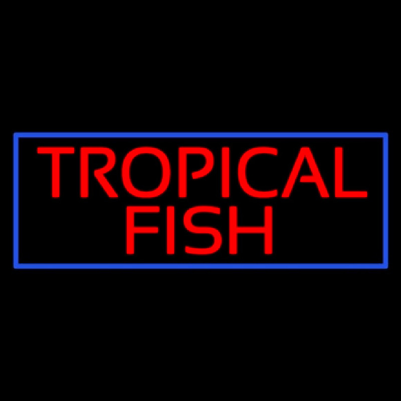 Tropical Fish Blue Border Neontábla