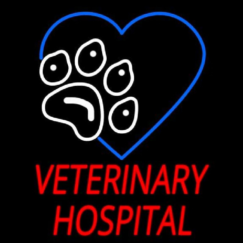 Veterinary Hospital Neontábla