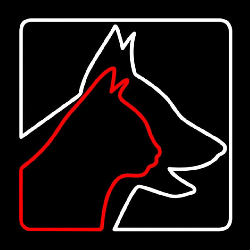 Veterinary Logo Dog Logo Cat Neontábla
