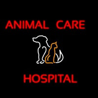 Animal Care Hospital Logo Neontábla