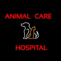 Animal Care Hospital Logo Neontábla