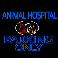 Animal Hospital Parking Only Neontábla