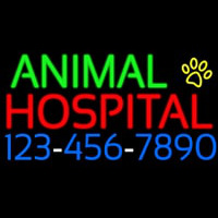 Animal Hospital With Phone Number Neontábla