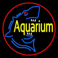 Aquarium Shark Logo Red Circle Neontábla