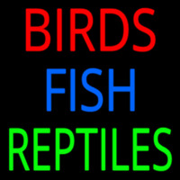 Birds Fish Reptiles 1 Neontábla