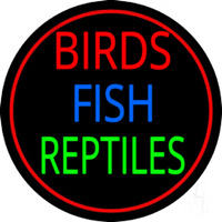 Birds Fish Reptiles 2 Neontábla