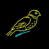 Birds Logo Neontábla