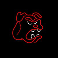 Bull Dog Logo Neontábla