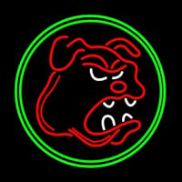 Bull Dog With Oval Neontábla