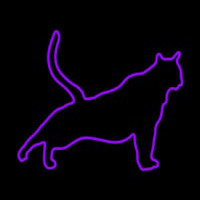 Cat Stretching Purple Neontábla