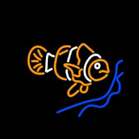 Clown Fish Neontábla