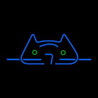 Cool Cat Neontábla