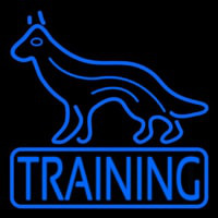 Dog Training Neontábla