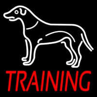 Dog Training Neontábla