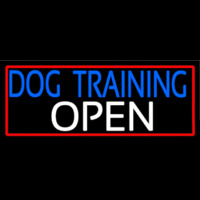 Dog Training Open With Red Border Neontábla