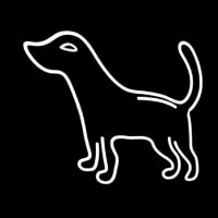 Logo Dog Neontábla
