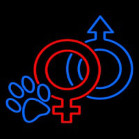 Neuter Pet Icon Neontábla