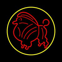 Poodle Dog Yellow Circle Neontábla