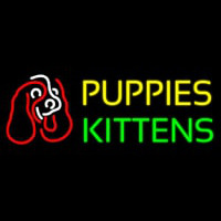Puppies Kittens With Logo Neontábla