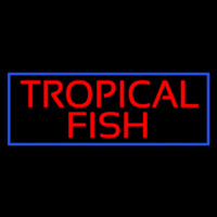 Tropical Fish Blue Border Neontábla