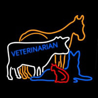 Vet Horse Cow Logo Neontábla
