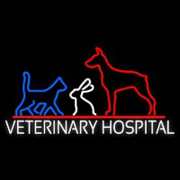 Veterinary Hospital Neontábla