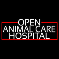 White Animal Care Hospital With Red Border Neontábla